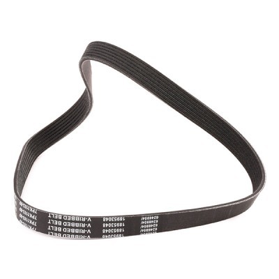 Pasek Klinowy Wielorowkowy RIDEX 305P0419P 305P0419P - foto 3