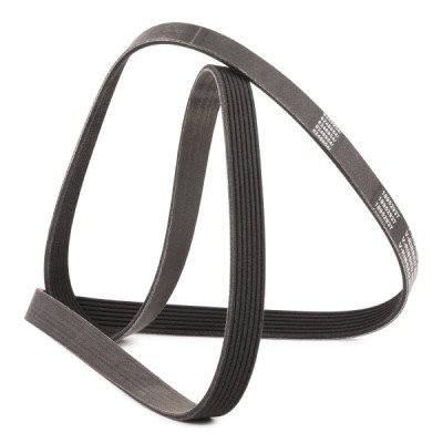 Pasek Klinowy Wielorowkowy RIDEX 305P0344P 305P0344P - foto 3