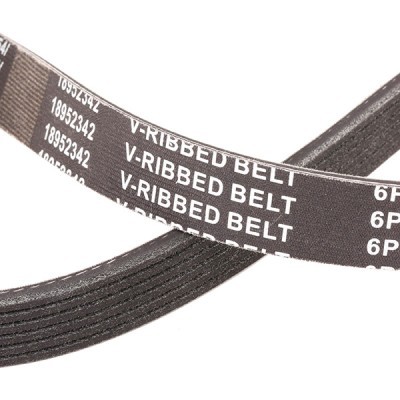 Pasek Klinowy Wielorowkowy RIDEX 305P0165P 305P0165P - foto 5