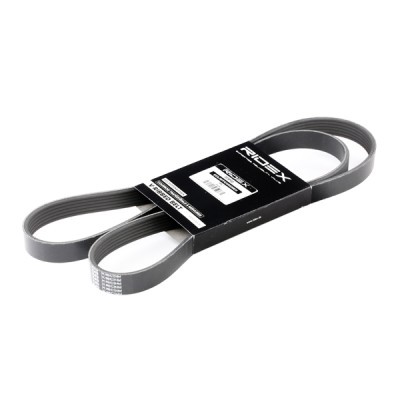 Pasek Klinowy Wielorowkowy RIDEX 305P0173 305P0173 - foto 2