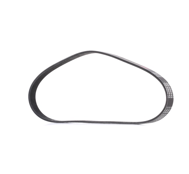 Pasek Klinowy Wielorowkowy RIDEX 305P0049P 305P0049P - foto 1