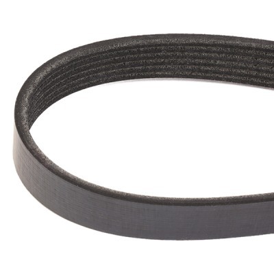 Pasek Klinowy Wielorowkowy RIDEX 305P0170 305P0170 - foto 3