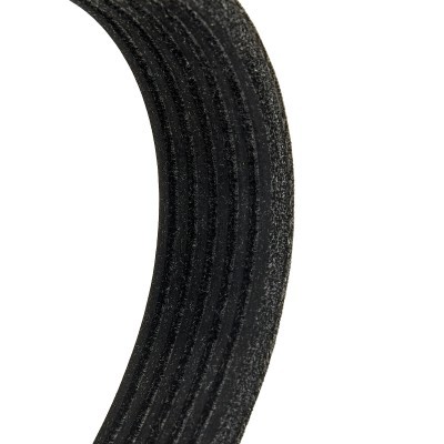 Pasek Klinowy Wielorowkowy RIDEX 305P0116P 305P0116P - foto 6