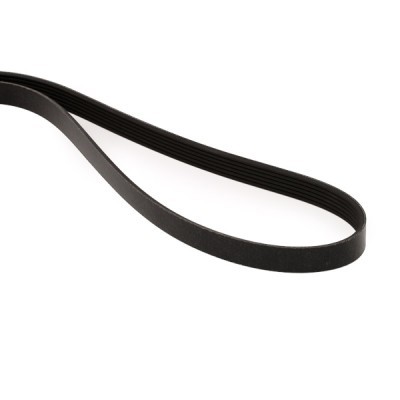 Pasek Klinowy Wielorowkowy RIDEX 305B0286 305B0286 - foto 4