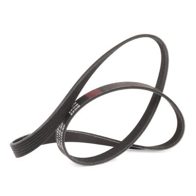 Pasek Klinowy Wielorowkowy RIDEX 305P0118P 305P0118P - foto 3