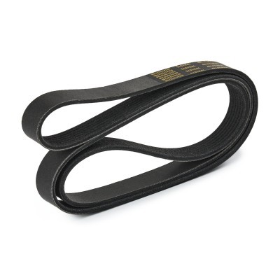 Pasek Klinowy Wielorowkowy RIDEX 305P0418P 305P0418P - foto 4