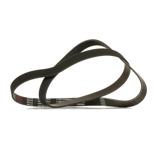 Pasek Klinowy Wielorowkowy RIDEX 305P0344P 305P0344P - foto 1