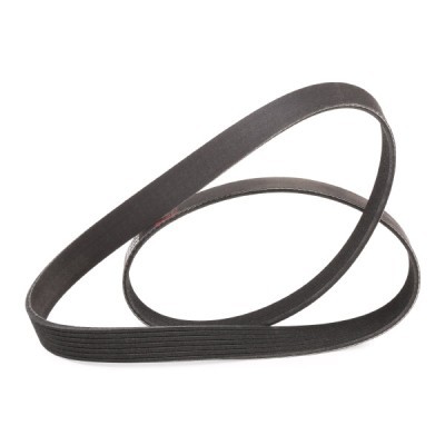 Pasek Klinowy Wielorowkowy RIDEX 305P0232P 305P0232P - foto 3