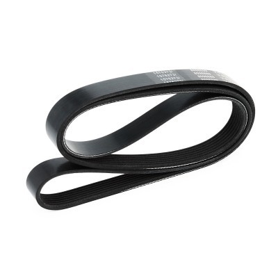 Pasek Klinowy Wielorowkowy RIDEX 305P0241 305P0241 - foto 4