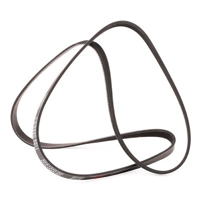 Pasek Klinowy Wielorowkowy RIDEX 305P0041P 305P0041P - foto 3