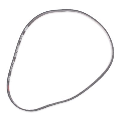 Pasek Klinowy Wielorowkowy RIDEX 305P0033P 305P0033P - foto 4