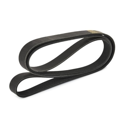 Pasek Klinowy Wielorowkowy RIDEX 305P0234P 305P0234P - foto 4