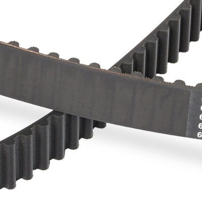 Pasek Rozrządu RIDEX 306T0064P 306T0064P - foto 5