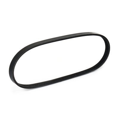 Pasek Klinowy Wielorowkowy RIDEX 305P0167 305P0167 - foto 5