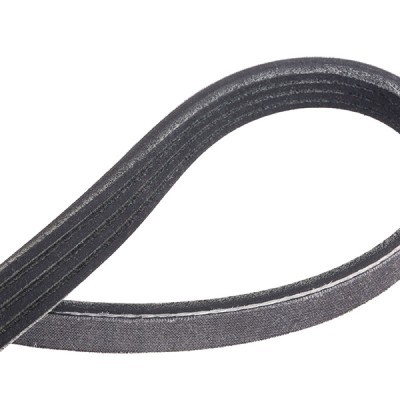 Pasek Klinowy Wielorowkowy RIDEX 305P0220P 305P0220P - foto 5