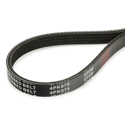 Pasek Klinowy Wielorowkowy RIDEX 305P0375 305P0375 - foto 4