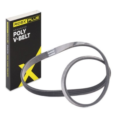 Pasek Klinowy Wielorowkowy RIDEX 305P0299P 305P0299P - foto 2