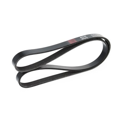 Pasek Klinowy Wielorowkowy RIDEX 305P0037 305P0037 - foto 4
