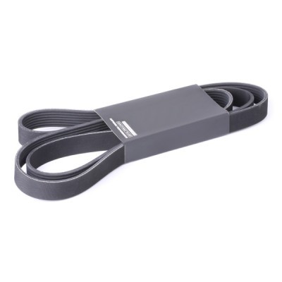 Pasek Klinowy Wielorowkowy RIDEX 305P0507 305P0507 - foto 2