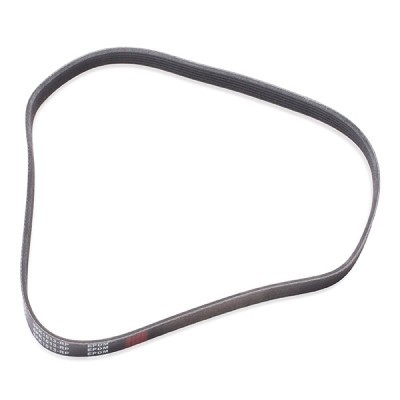 Pasek Klinowy Wielorowkowy RIDEX 305P0122P 305P0122P - foto 4