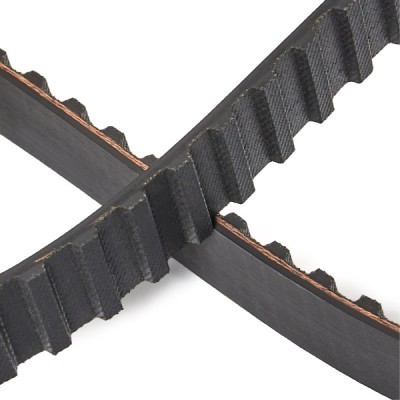 Pasek Rozrządu RIDEX 306T0373P 306T0373P - foto 5
