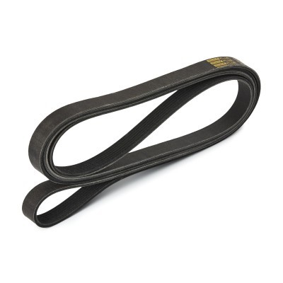 Pasek Klinowy Wielorowkowy RIDEX 305P0481P 305P0481P - foto 3