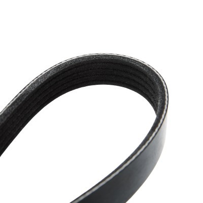 Pasek Klinowy Wielorowkowy RIDEX 305P0249 305P0249 - foto 5