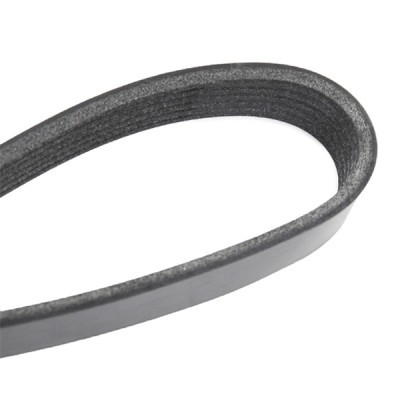 Pasek Klinowy Wielorowkowy RIDEX 305P0446 305P0446 - foto 5