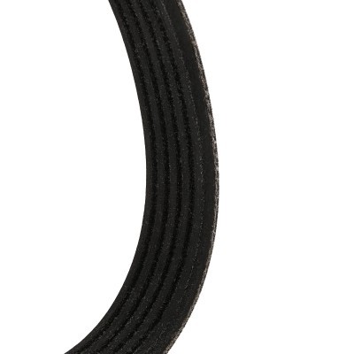 Pasek Klinowy Wielorowkowy RIDEX 305P0498P 305P0498P - foto 5