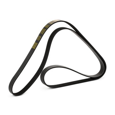 Pasek Klinowy Wielorowkowy RIDEX 305P0246P 305P0246P - foto 4