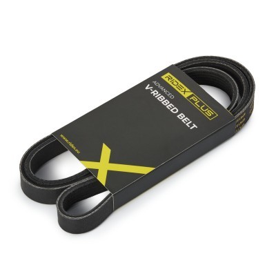 Pasek Klinowy Wielorowkowy RIDEX 305P0421P 305P0421P - foto 2