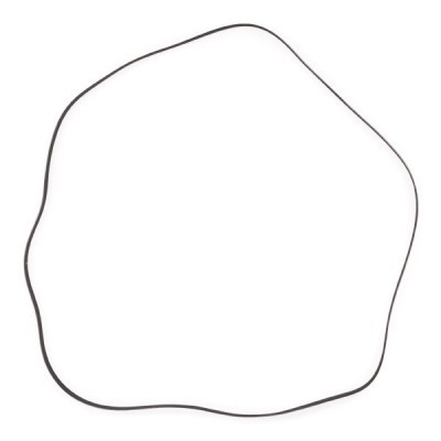 Pasek Klinowy Wielorowkowy RIDEX 305P0216P 305P0216P - foto 5