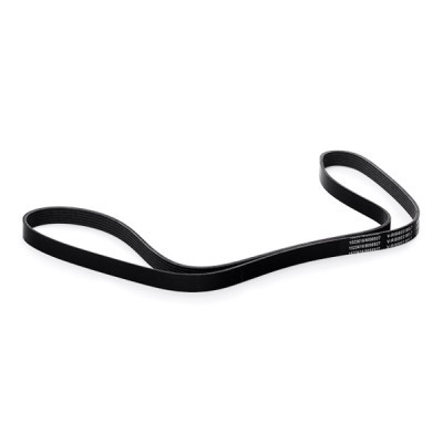 Pasek Klinowy Wielorowkowy RIDEX 305B0284 305B0284 - foto 3
