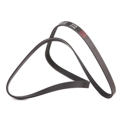 Pasek Klinowy Wielorowkowy RIDEX 305P0040P 305P0040P - foto 4