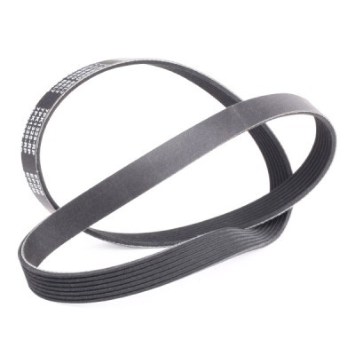 Pasek Klinowy Wielorowkowy RIDEX 305P0451P 305P0451P - foto 3