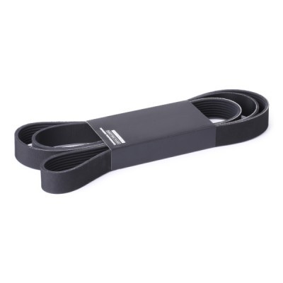 Pasek Klinowy Wielorowkowy RIDEX 305P0352 305P0352 - foto 2