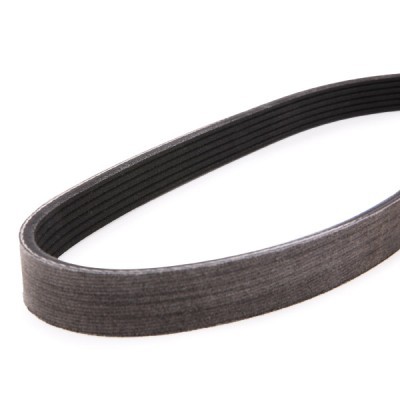 Pasek Klinowy Wielorowkowy RIDEX 305P0084P 305P0084P - foto 5