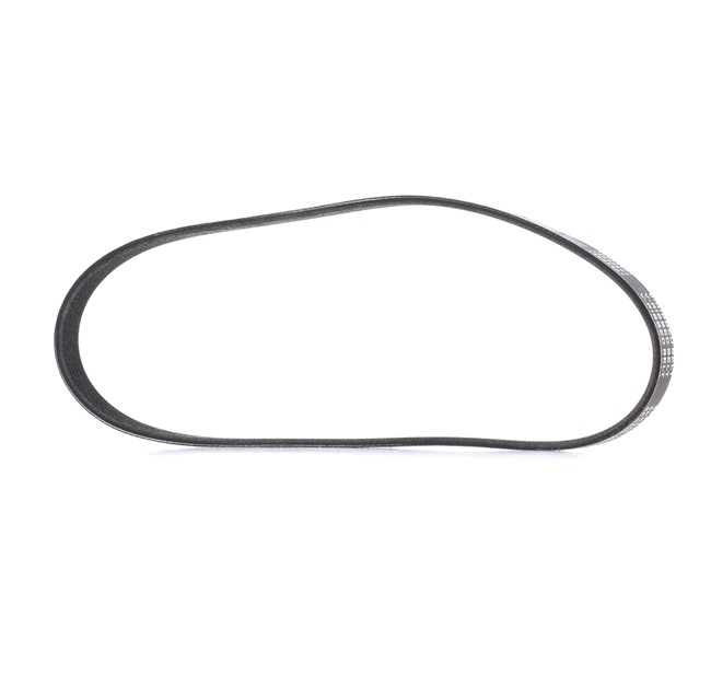 Pasek Klinowy Wielorowkowy RIDEX 305P0317P 305P0317P - foto 1