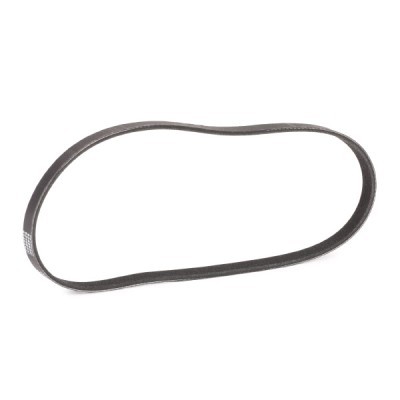 Pasek Klinowy Wielorowkowy RIDEX 305P0024P 305P0024P - foto 3