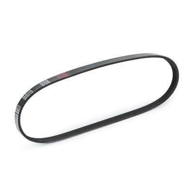 Pasek Klinowy Wielorowkowy RIDEX 305P0220 305P0220 - foto 4