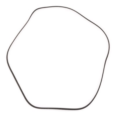 Pasek Klinowy Wielorowkowy RIDEX 305P0115P 305P0115P - foto 4