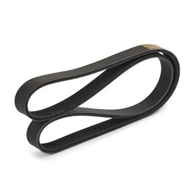 Pasek Klinowy Wielorowkowy RIDEX 305P0404P 305P0404P - foto 3