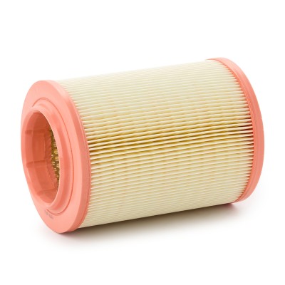 Filtr Powietrza RIDEX 8A0134 8A0134 - foto 8