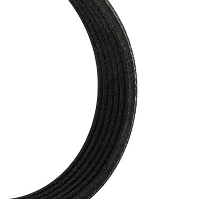 Pasek Klinowy Wielorowkowy RIDEX 305P0145P 305P0145P - foto 5