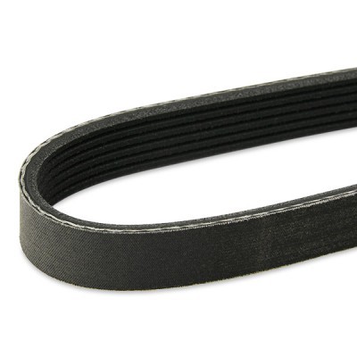 Pasek Klinowy Wielorowkowy RIDEX 305P0089P 305P0089P - foto 8