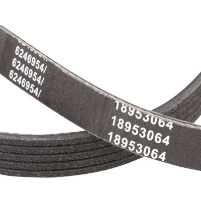 Pasek Klinowy RIDEX 305P0176P 305P0176P - foto 5