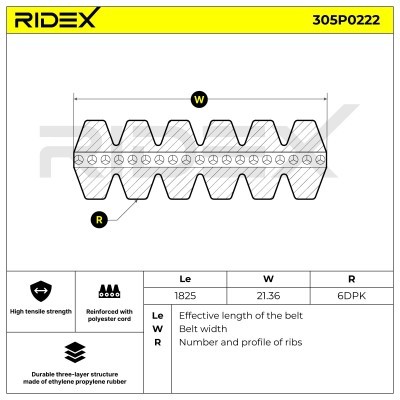 Pasek Klinowy Wielorowkowy RIDEX 305P0222 305P0222 - foto 4