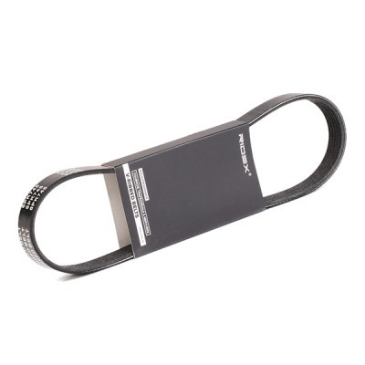 Pasek Klinowy Wielorowkowy RIDEX 305P0450 305P0450 - foto 2