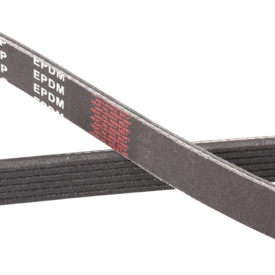 Pasek Klinowy Wielorowkowy RIDEX 305P0144P 305P0144P - foto 5