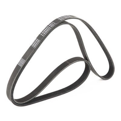 Pasek Klinowy Wielorowkowy RIDEX 305P0287P 305P0287P - foto 3